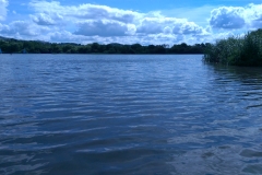 IMAG0252