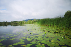 IMG_20210801_085740-002